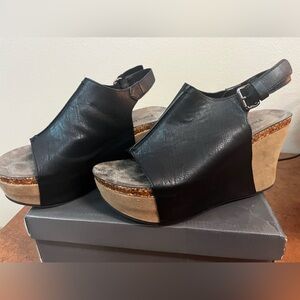 Pierre Dumas wedges